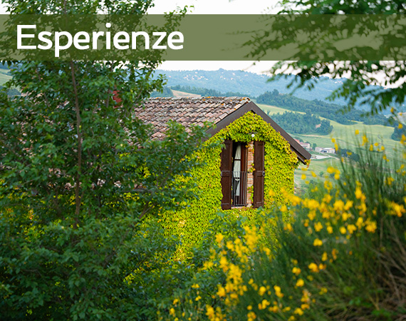 esperienze