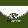 tripadvisor